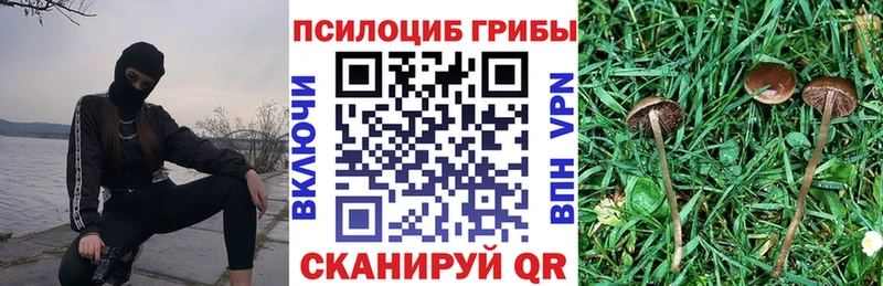 Галлюциногенные грибы MAGIC MUSHROOMS  Лесозаводск 